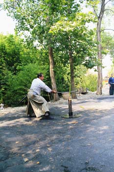 Bamboo-Cutting