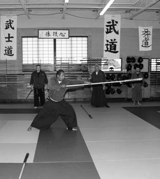 Spear-1