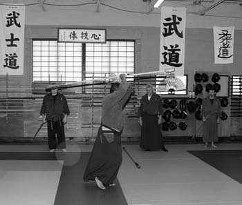 Spear-2