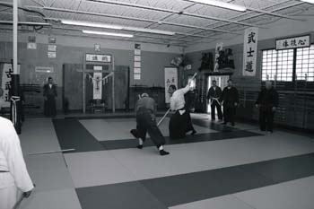 Spear-Kata-3