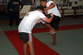 No-gi-training-2