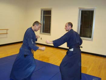 Kukishin-ryu-Dakentaijutsu