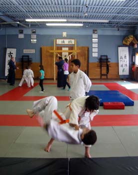 Judo-Throw-3